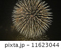 花火 11623044
