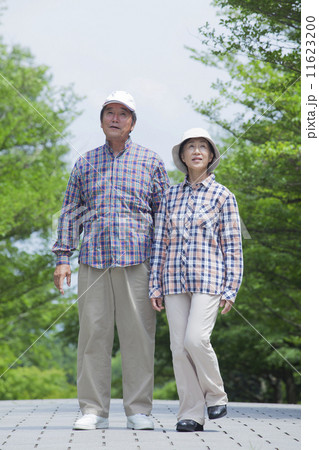 散歩をするシニア 11623200