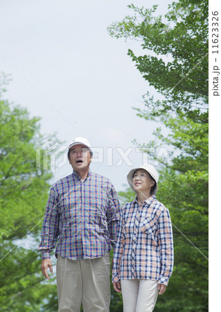 散歩をするシニア 11623326
