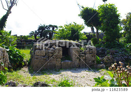 中城城 中城城 11623589
