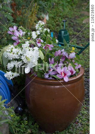 庭の花束 11623660
