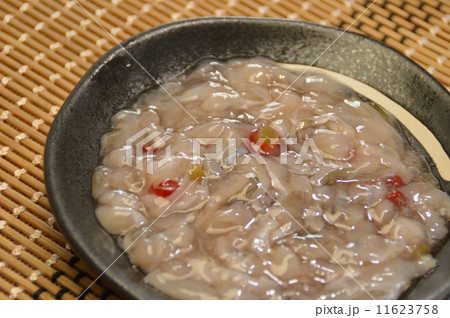 たこわさ たこわさ 11623758