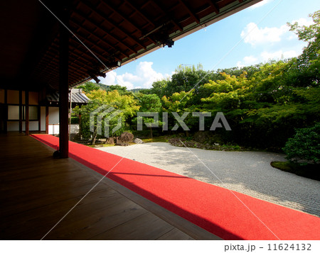 高台寺圓徳院の新緑 11624132