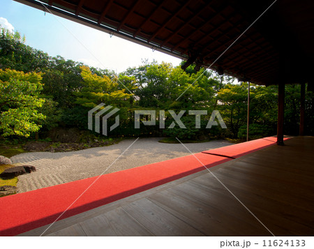 高台寺圓徳院の新緑 高台寺圓徳院の新緑 11624133