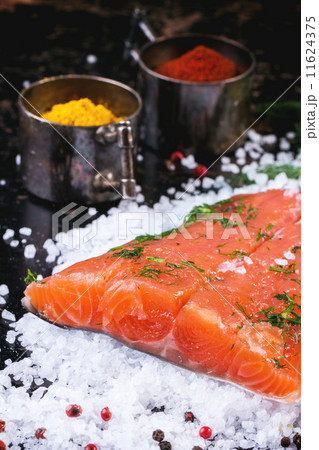 Salted salmon with spices 11624375