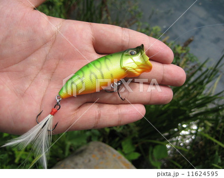 ルアー 11624595
