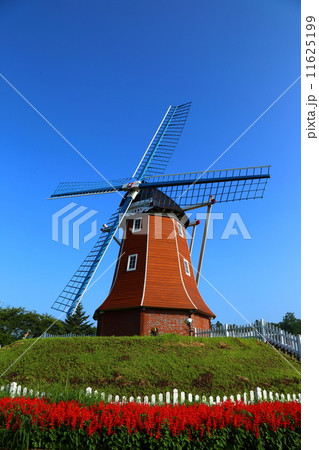大胡ぐりーんふらわー牧場の風車 大胡ぐりーんふらわー牧場の風車 11625199