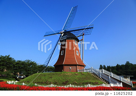 大胡ぐりーんふらわー牧場の風車 大胡ぐりーんふらわー牧場の風車 11625202