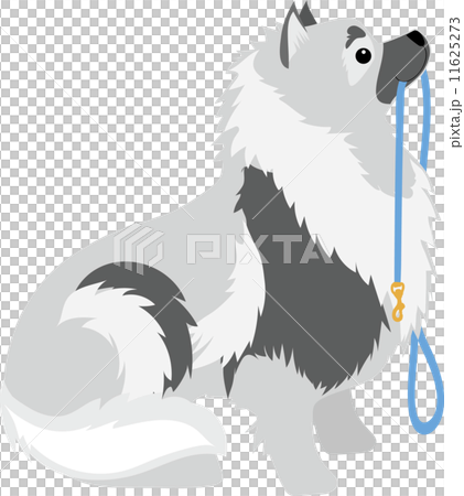 Keeshond Leash 11625273