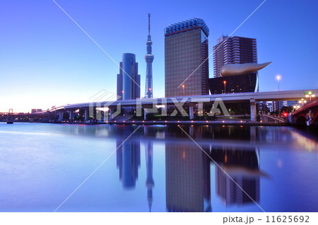 スカイツリーと吾妻橋のライトアップ スカイツリーと吾妻橋のライトアップ 11625692