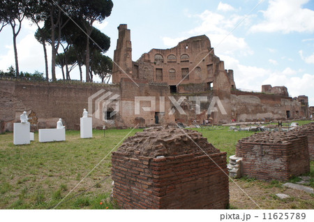 ローマ パラティーノの丘 ローマ パラティーノの丘 11625789