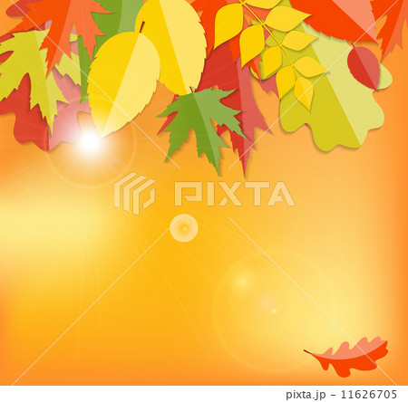 Shiny Autumn Natural Leaves Background. Vector Illustration 11626705