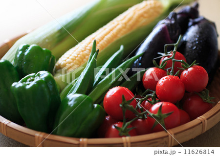 夏野菜 11626814