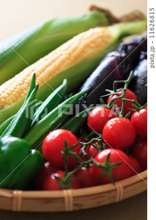 夏野菜 11626815