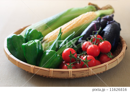 夏野菜 11626816