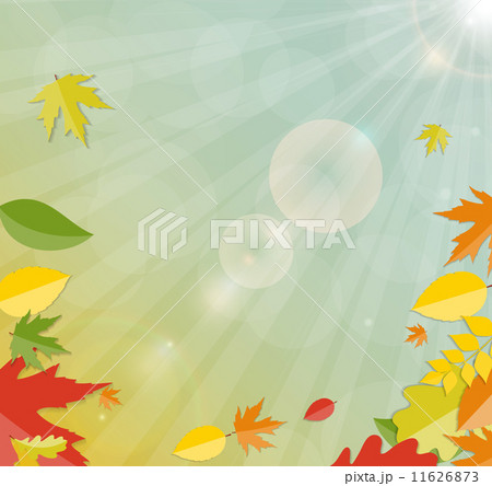 Shiny Autumn Natural Leaves Background. Vector Illustration 11626873