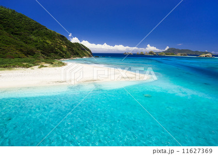 沖縄の海・阿嘉島／慶留間島 11627369