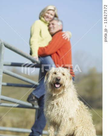 Multi-ethnic couple hugging next to dog Multi-ethnic couple hugging next to dog 11627572