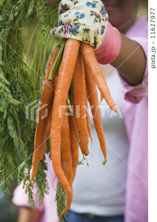 African woman holding bunch of carrots 11627977