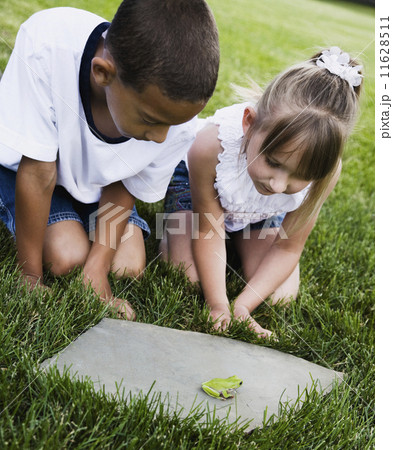 Multi-ethnic children looking at frog 11628511