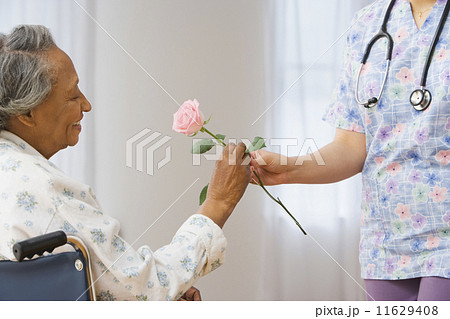 Nurse giving senior African woman in wheelchair a rose Nurse giving senior African woman in wheelchair a rose 11629408