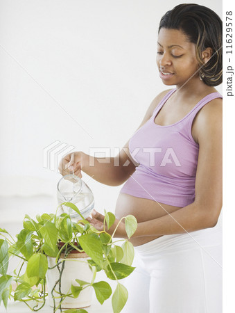 Pregnant African American woman watering plant Pregnant African American woman watering plant 11629578