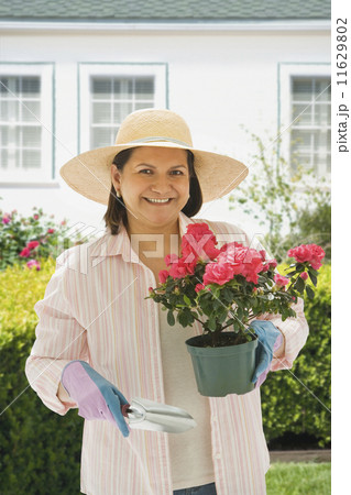 Hispanic woman gardening 11629802
