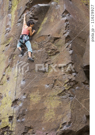Asian woman rock climbing Asian woman rock climbing 11629927