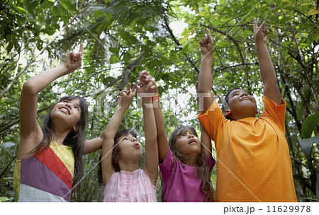 Hispanic children pointing up in woods 11629978