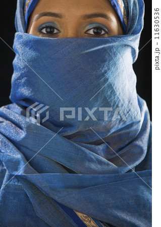 Indian woman in traditional dress 11630536