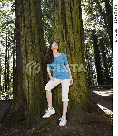 Hispanic woman looking up at tree Hispanic woman looking up at tree 11630588