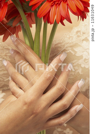 Close up of Mixed Race woman holding flowers Close up of Mixed Race woman holding flowers 11631049