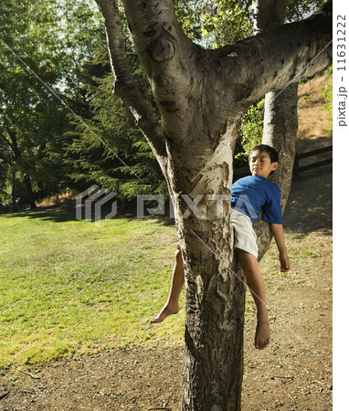 Asian boy sleeping in tree Asian boy sleeping in tree 11631222