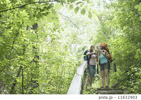 Young women hiking together in a forest Young women hiking together in a forest 11632903