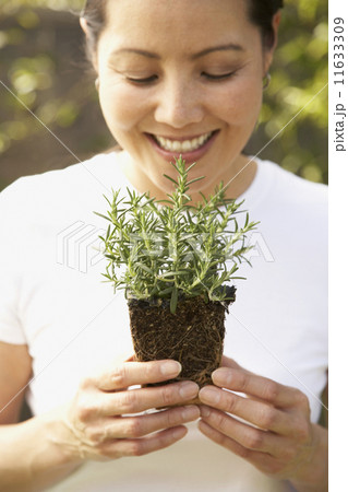Asian woman smelling rosemary plant 11633309