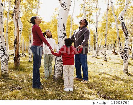 African family holding hands around tree African family holding hands around tree 11633764