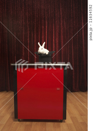 Rabbit in hat on stage 11634592