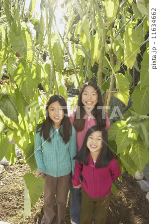 Three young Asian sisters smiling outdoors Three young Asian sisters smiling outdoors 11634662