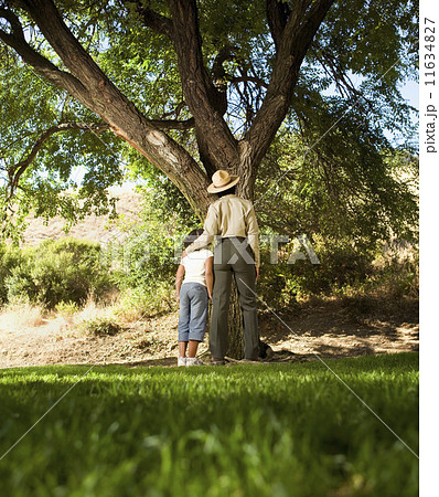 African American girl and Park Ranger looking at tree African American girl and Park Ranger looking at tree 11634827