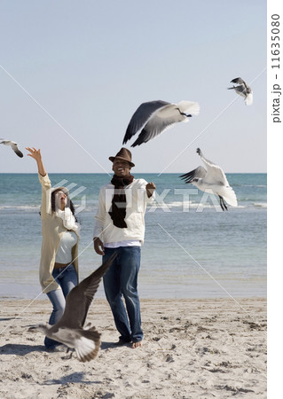 Multi-ethnic couple watching seagulls 11635080