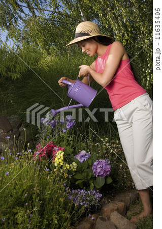 Mixed Race woman watering flowers 11635496