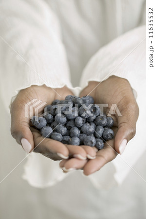 Close up of hands holding blueberries 11635532