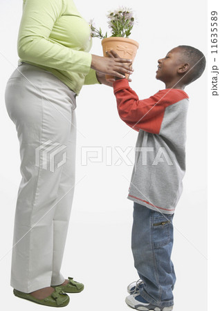 Studio shot of young African boy giving potted plant to his mother Studio shot of young African boy giving potted plant to his mother 11635589