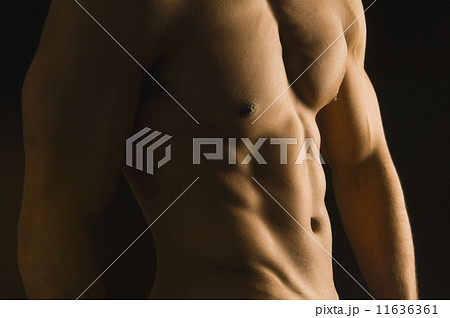 Mixed Race man's bare torso 11636361