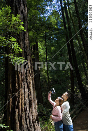 Asian couple video recording tree Asian couple video recording tree 11636603