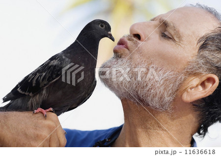 Man kissing bird 11636618