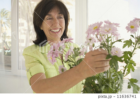 Senior woman arranging flowers in vase 11636741