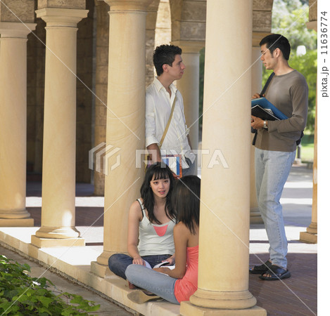 Multi-ethnic students talking outdoors 11636774