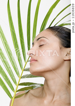 Indian woman next to palm frond Indian woman next to palm frond 11636839