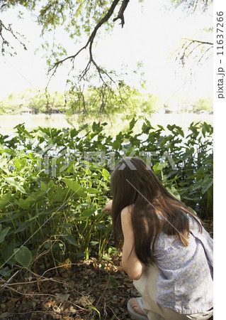 Hispanic girl looking at plants 11637266